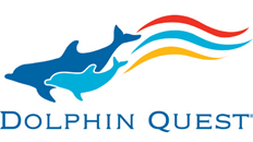 Dolphin Quest.jpg